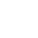 DS Automobiles